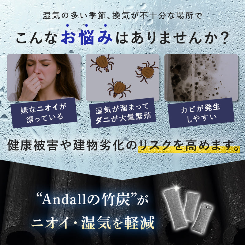 靴 消臭 くり返し使える 竹炭パック｜天然孟宗竹100％ 【除湿＆菌抑制効果】 置くだけでムレ・ニオイ対策