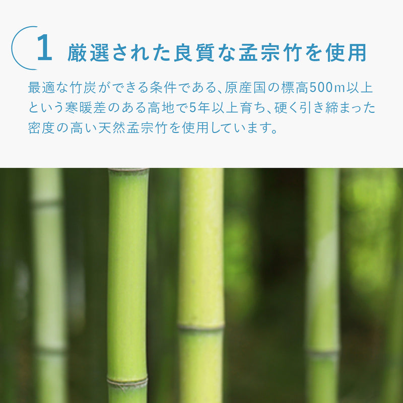 靴 消臭 くり返し使える 竹炭パック｜天然孟宗竹100％ 【除湿＆菌抑制効果】 置くだけでムレ・ニオイ対策