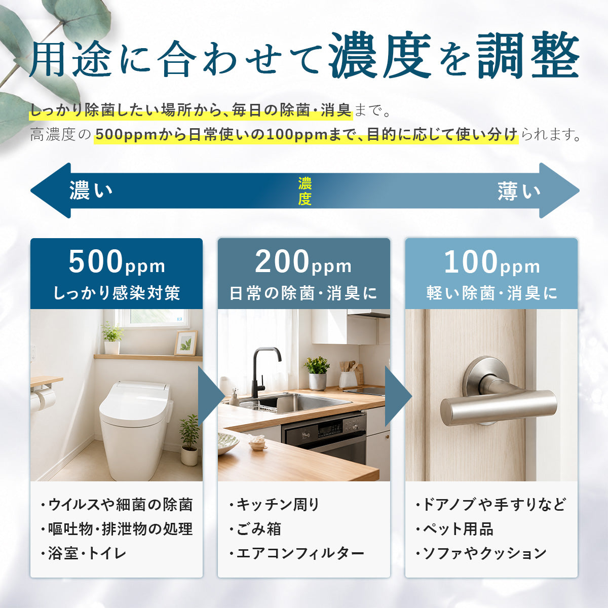 次亜塩素酸 パウダー 粉末 溶かすだけ 高濃度 大容量 安い